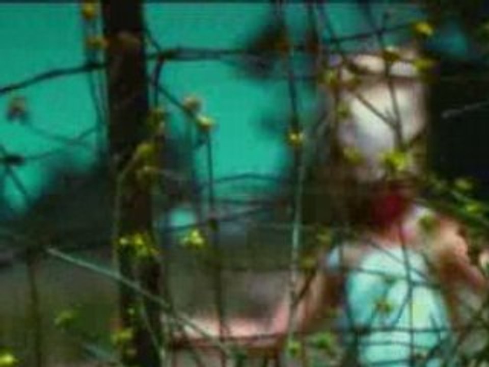 X_Japan_-_Dahlia