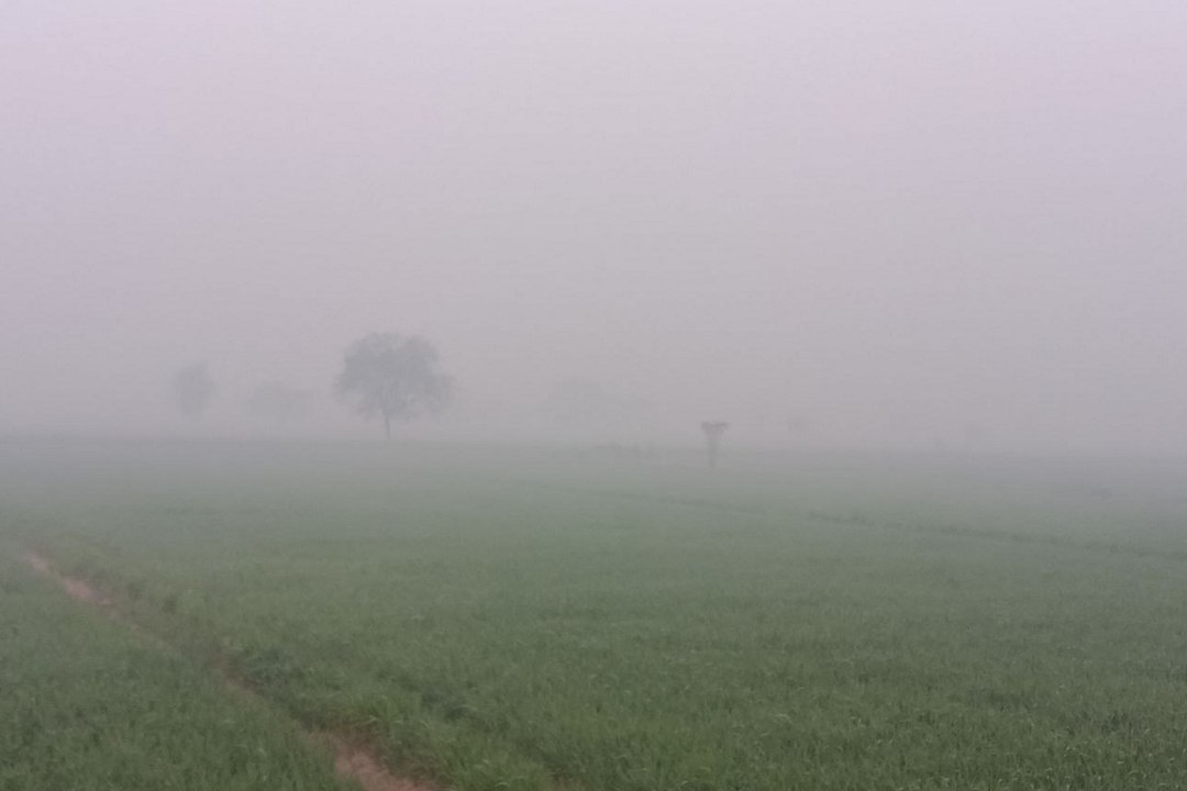 Rajasthan Weather :  मौसम में बढ़ी गर्माहट, गुलाबी हुआ गुलाबी नगर का मौसम