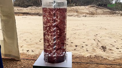 Louth Bay EcoPark launches seaweed to cut emissions