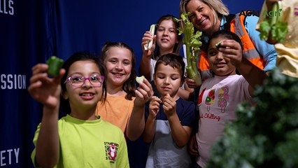The surprising economic benefits of eating more vegetables