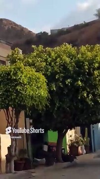 El cerro de los misterios entre palomas seres alados #shorts el barrio y la fabela en la que vivo