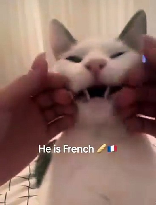 French