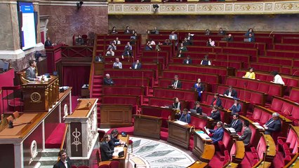 2ème séance : Restreindre la vente de protoxyde d’azote aux seuls professionnels (suite) ; Condamner l'oppression et la terreur imposées aux femmes iraniennes  - Mercredi 29 janvier 2025