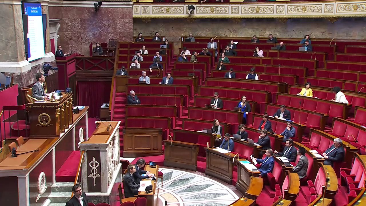 2ème séance : Restreindre la vente de protoxyde d’azote aux seuls professionnels (suite) ; Condamner l'oppression et la terreur imposées aux femmes iraniennes  - Mercredi 29 janvier 2025