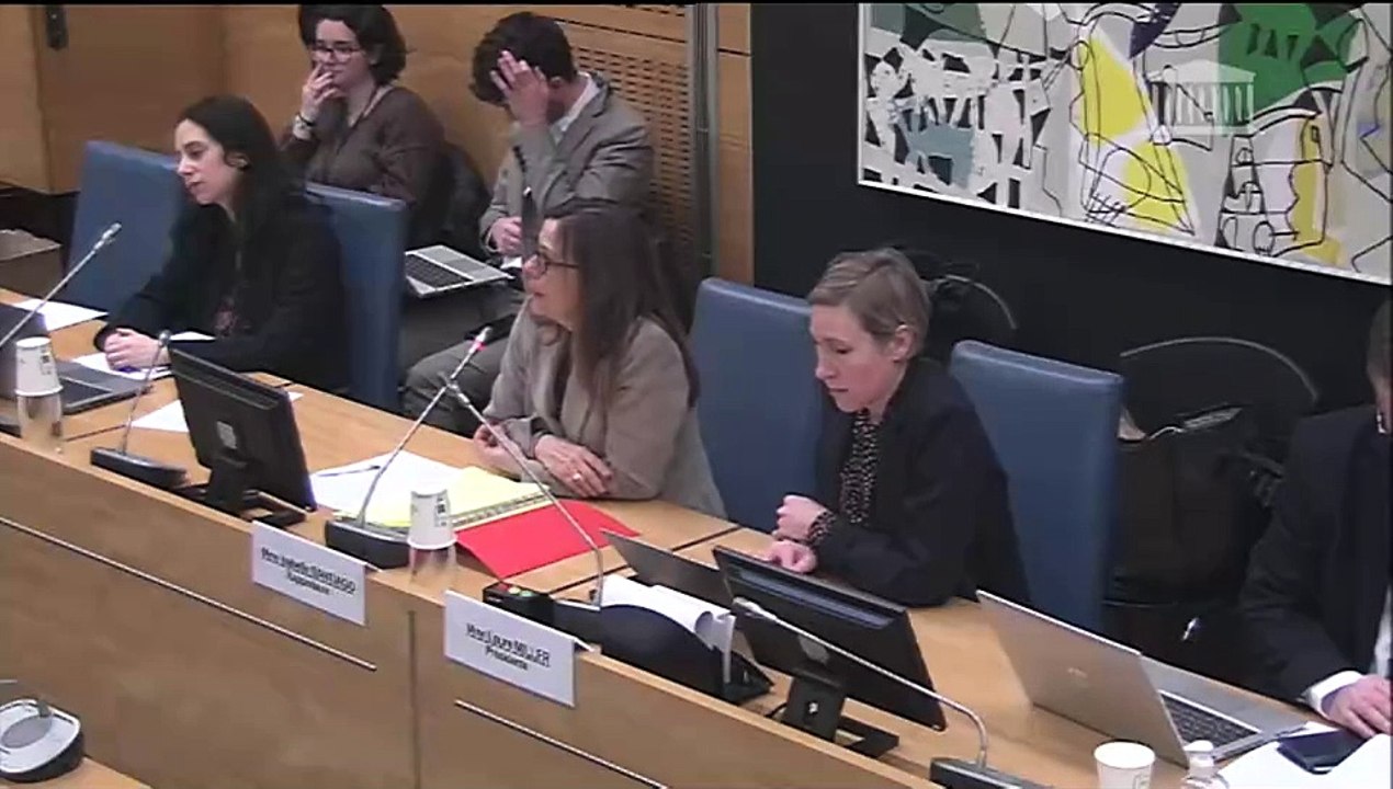 Manquements des politiques de protection de l’enfance : Auditions diverses - Mercredi 29 janvier 2025