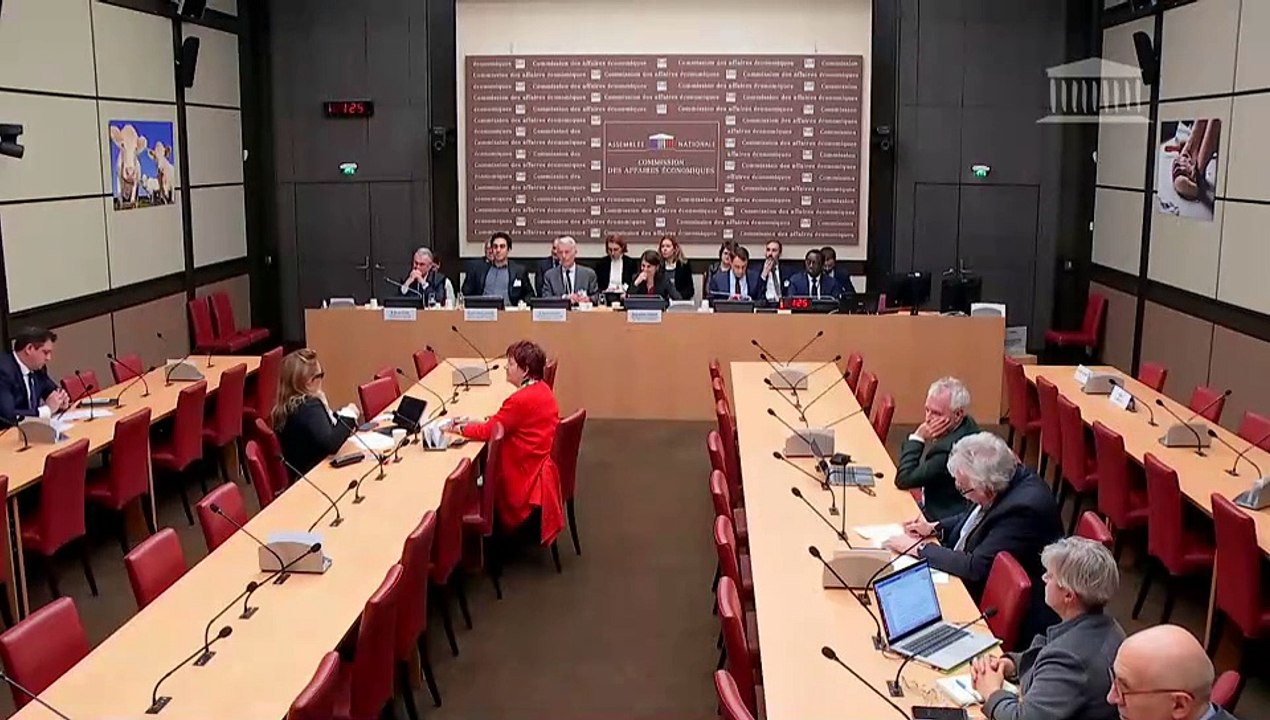 Commission des affaires économiques : Activité économique, production et emploi en France - Mercredi 29 janvier 2025