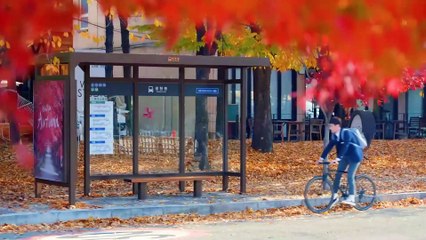 Most Popular Boy of School Fall in Love with Poor Girl