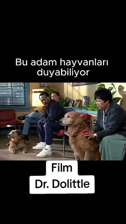 Adam Hayvanla Konuşabiliyor