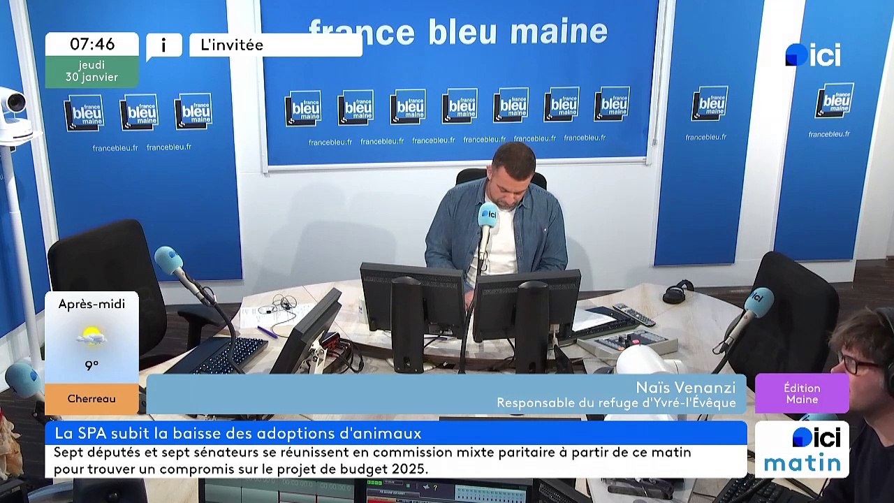 L'invité d'Ici Maine : Naîs Venanzi, directrice du refuge SPA d'Yvré L 'Evêque