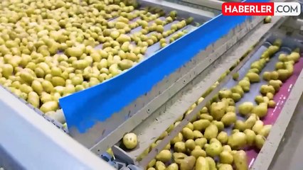 Coca Cola'dan sonra bu kez de Lay's! Tehlikeli ürün ABD'de piyasadan toplatılıyor