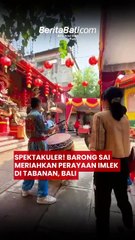 Spektakuler! Barong Sai Meriahkan Perayaan Imlek di Tabanan, Bali