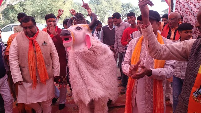 VIDEO: शिव पार्वती विवाह का प्रसंग सुनकर भाव विभोर हुए श्रद्धालु