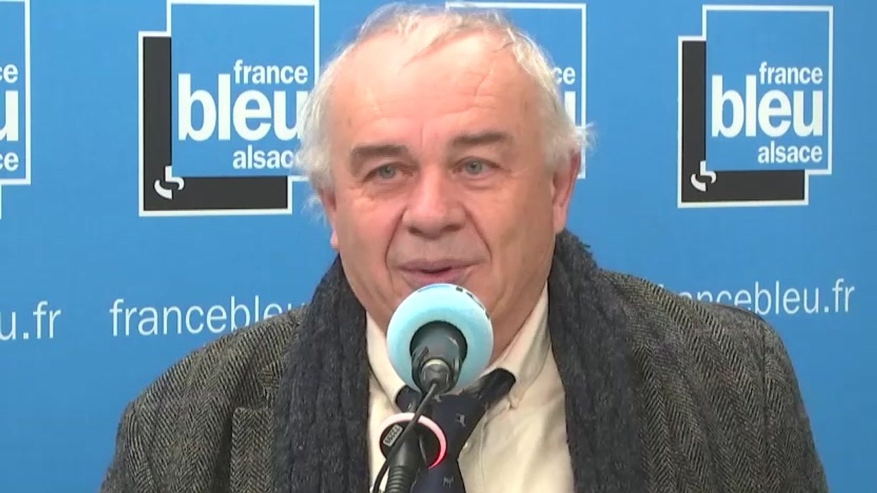 Déclaration européenne des droits de l'animal signée à Strasbourg : "un socle commun" pour les défenseurs de la cause