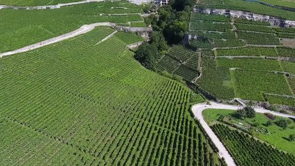 sassocorno-video-homepage