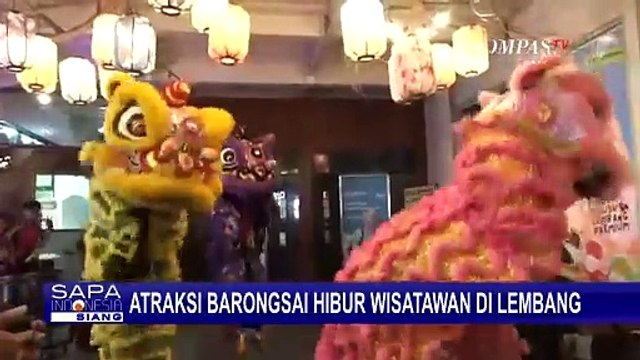 Meriahkan Tahun Baru Imlek, Atraksi Barongsai Hibur Pengunjung di Lembang