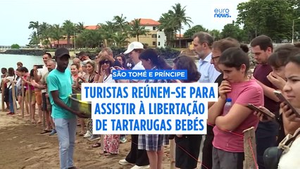 Turistas em São Tomé reúnem-se para assistir à libertação de 400 tartarugas bebés no mar