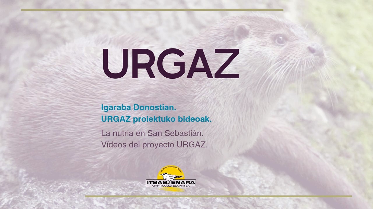 Proyecto URGAZ. Nutrias en las cuencas de Gipuzkoa