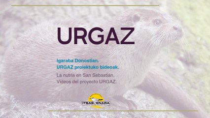Proyecto URGAZ. Nutrias en las cuencas de Gipuzkoa