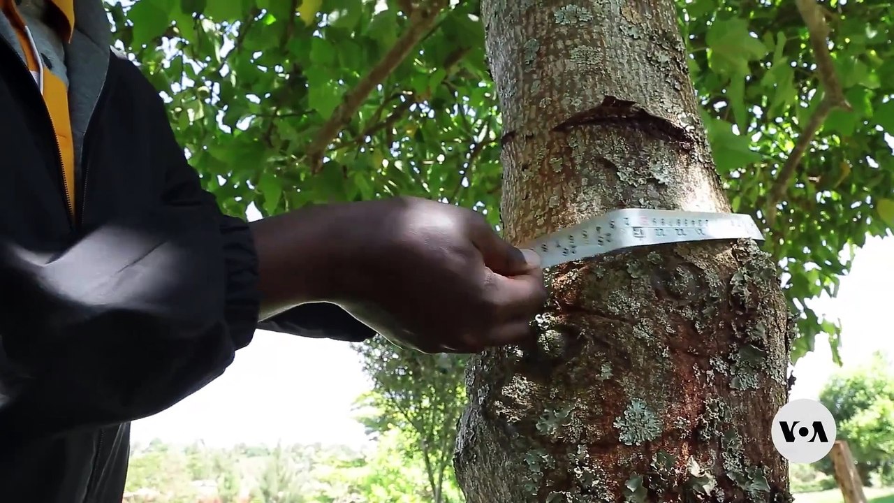 Chinese AI Breakthrough: Lower Cost, Less Computing Power, and More Performance