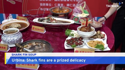 Analysis: The Environmental and Ethical Concerns of the Shark Fin Trade