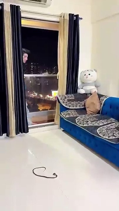 Didi_Bacha_Lo
