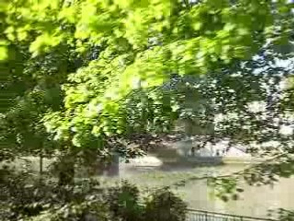 Paris Parte V