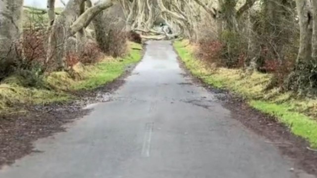 Northern Ireland's iconic spot suffers significant losses during Storm Éowyn *Aftermath*