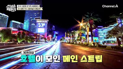 미국인이 사랑하는 도시 ☞라스베이거스☜ 미국 패밀리가 찾아간  불꽃놀이 명당은?