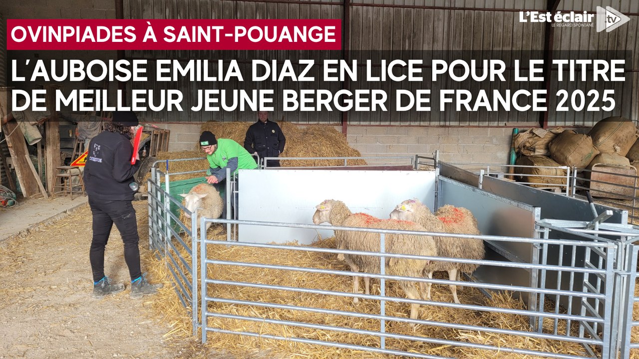 Une Auboise en lice pour le titre de Meilleur Jeune Berger de France 2025 après sa victoire aux Ovinpiades