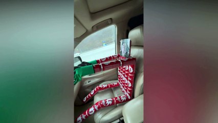 Police chase mannequin 'driving' car