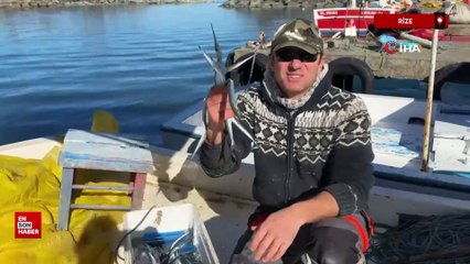 Rizeli balıkçı teknesinin yoldaşı yunus balıkları oldu