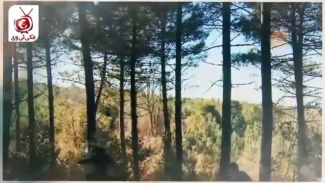 Osman Season 6 Episode 179 Complete Review in Urdu amd Mehmet Sultan Fateh