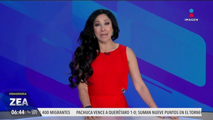 Rescatan a 4 ponis explotados en una feria en Los Reyes La Paz