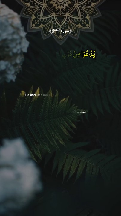 🛑 THIS Idol WILL DESTROY You! Surah Al-Hajj 22:12 WARNING 💔 (Allah Exposed the TRUTH)LIKE & SHARE if this convicted you—TAG someone trapped in deception!   🕌 Follow for Quranic truths that break chains and save hearts.