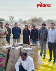विदर्भात मोठ्या प्रमाणात गांजा तस्करी! ४२ लाखांचा माल जप्त.