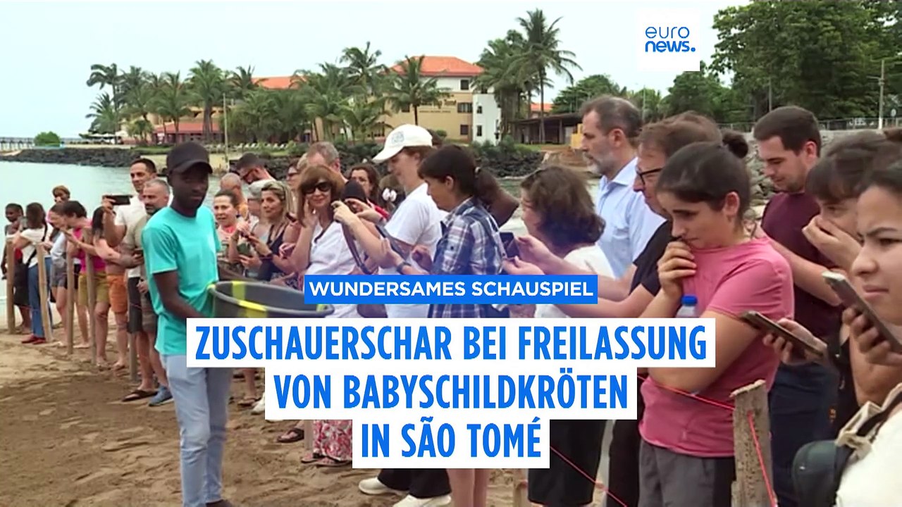 Zuschauerschar bei freilassung von babyschildkröten in são tomé