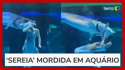 ‘Sereia’ tem cabeça mordida por peixe enquanto nadava em aquário na China