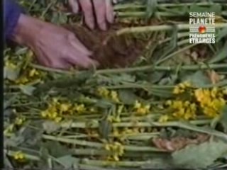 Ovni-Semaine planete-Les agroglyphes-Partie4