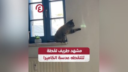 مشهد طريف لقطة تلتقطه عدسة الكاميرا