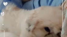 BonBon 🥰