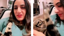 Video: Baasje zingt voor kat, en de reactie van de kat verovert het internet