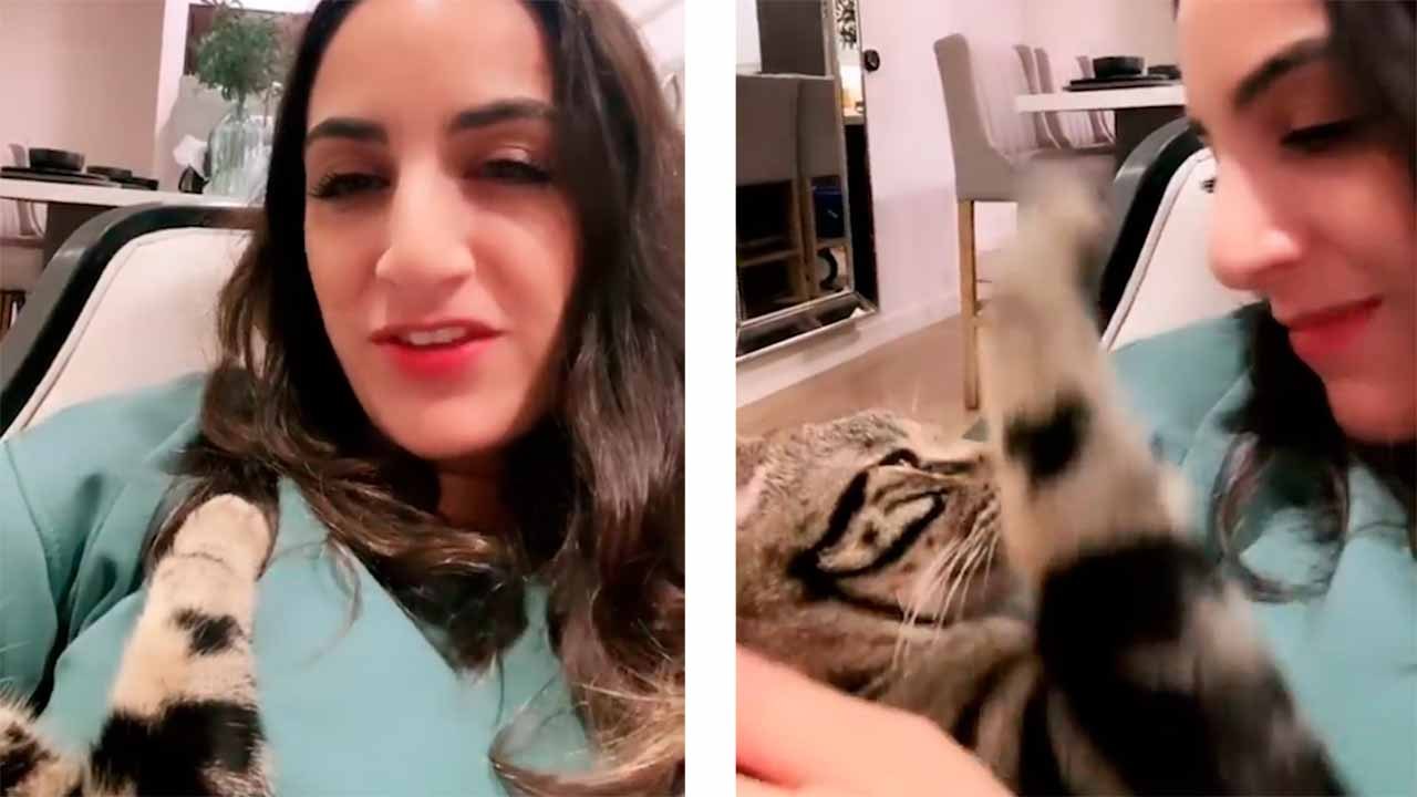 Video: Baasje zingt voor kat, en de reactie van de kat verovert het internet