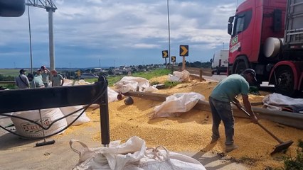 Carga de milho espalhada no Trevo Cataratas é recolhida