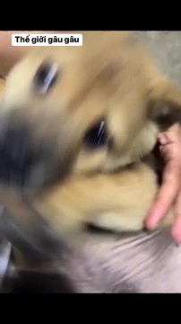 Sorry, I don't know what I want anymore