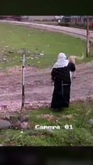 Yaşlı kadını kan revan içinde bıraktılar! Vahşet güvenlik kamerasına böyle yansıdı