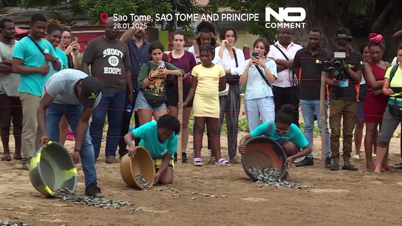 Baby-Meeresschildkröten begeben sich mit Unterstützung des Tatô-Programms auf eine epische Reise