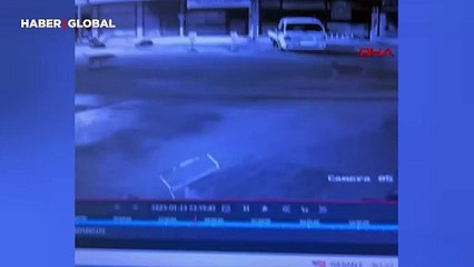 Sokak köpeklerinin zarar verdiği kamyonette 200 bin liralık hasar oluştu