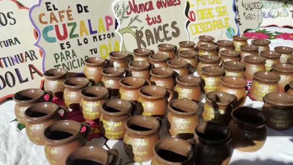 Cuzalapa realizara la décima edición del Festival del Café