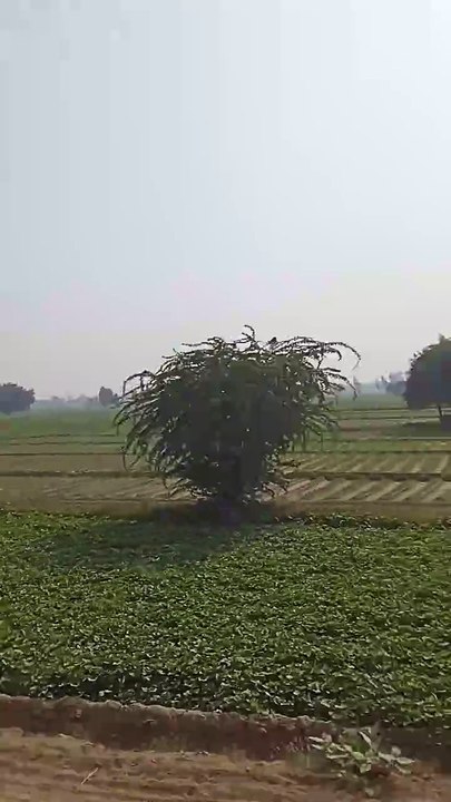 VID_20241104_120213