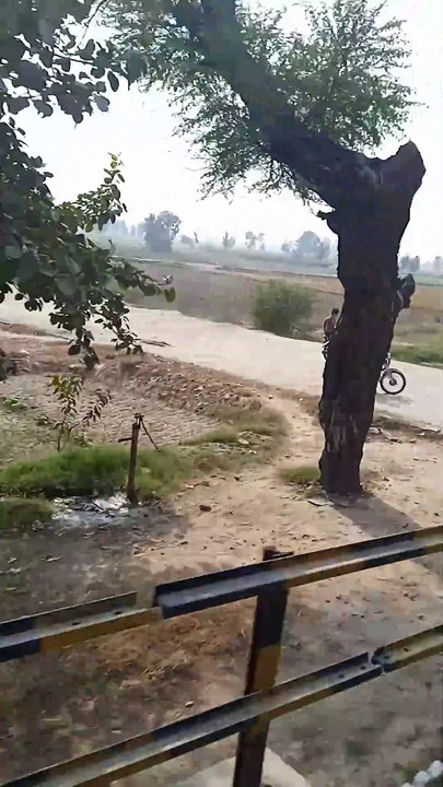 VID_20241104_121156